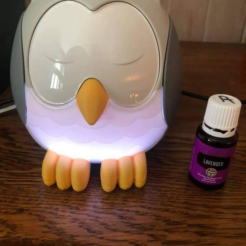 Oil diffuser feather the owl - Picture 2 of 3